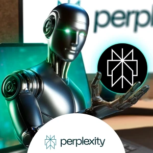 Perplexity
